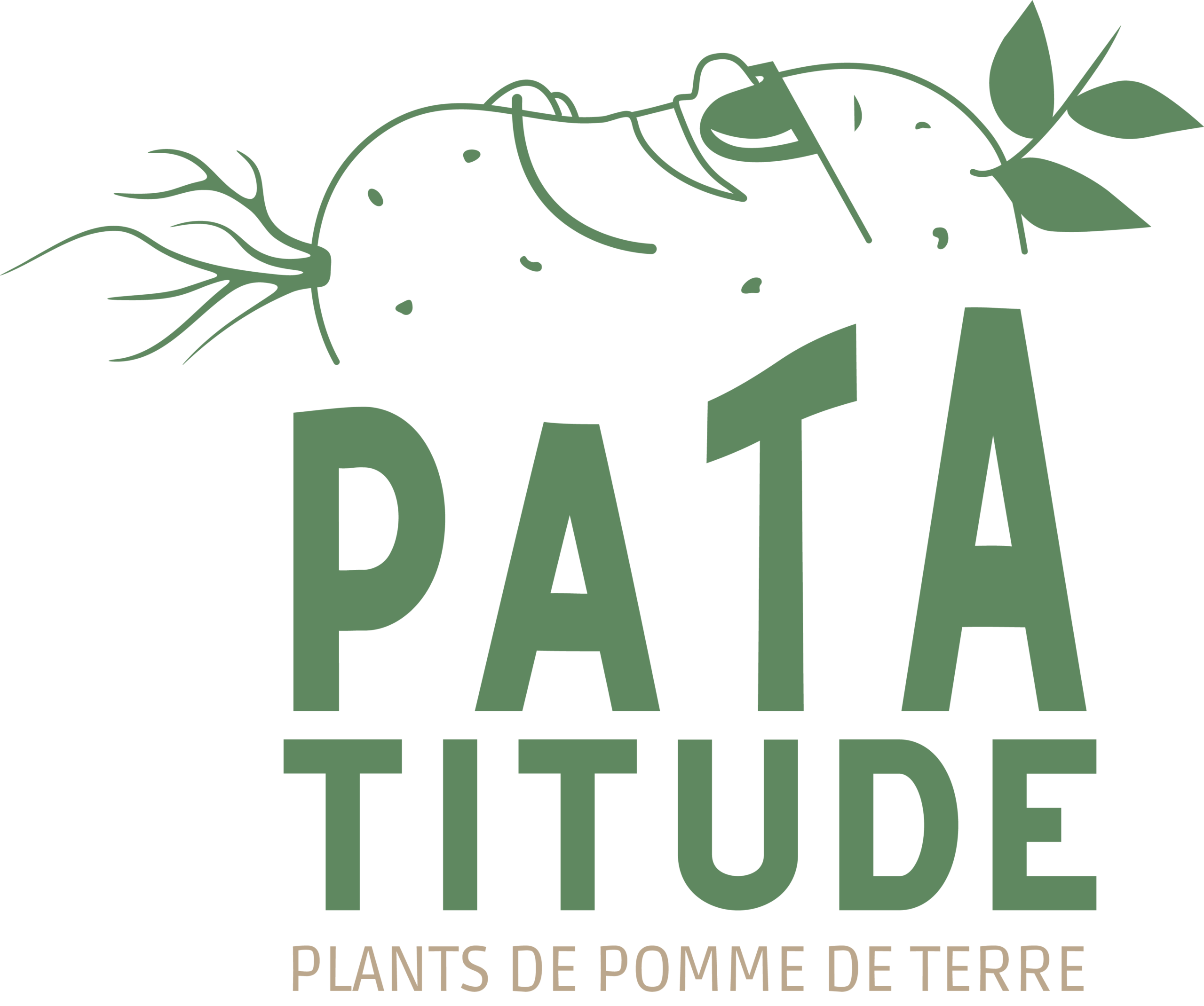 Choisir sa pomme de terre