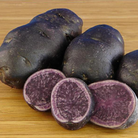 Semence pomme de terre Blue Salad