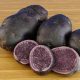 Semence pomme de terre Blue Salad