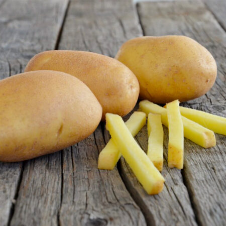 semence de pomme de terre lady amarilla