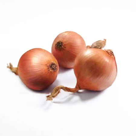 Bulbe potager oignon rose Keravel