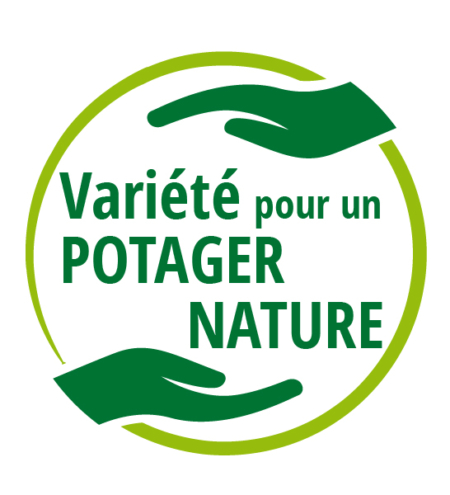 logo semence pomme de terre potager nature