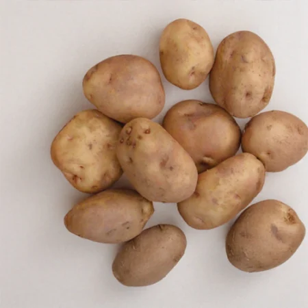 INSTITUT DE BEAUVAIS