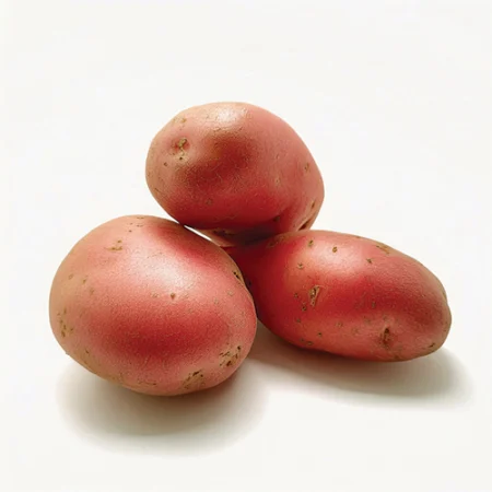 PROSPÈRE - variété Stemster