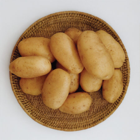 plant pomme de terre safrane