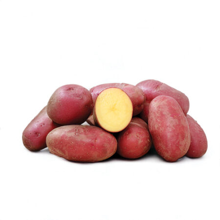 plant pomme de terre valery