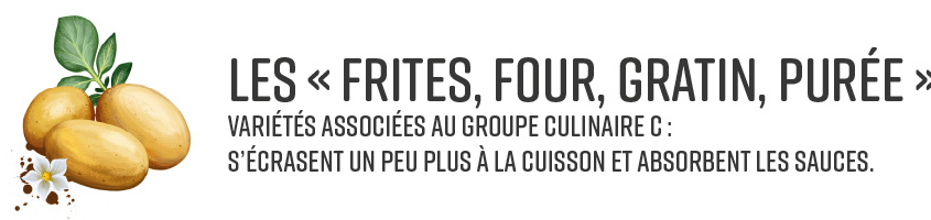 semences de pommes de terre variétés spéciales frite four purée